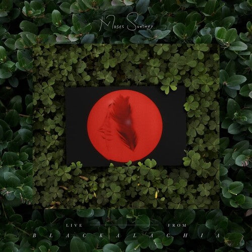 Moses Sumney - Moses Sumney - Live From Blackalachia