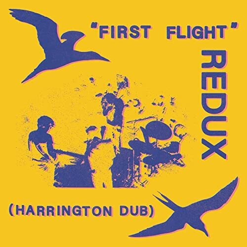 Chris Forsyth - Chris Forsyth - First Flight Redux (Harrington Dub)