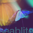 Seablite - Seablite - Breadcrumbs