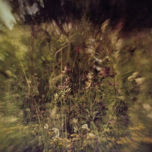 Pluralone - Pluralone - Wile B/w Remembered (purple)