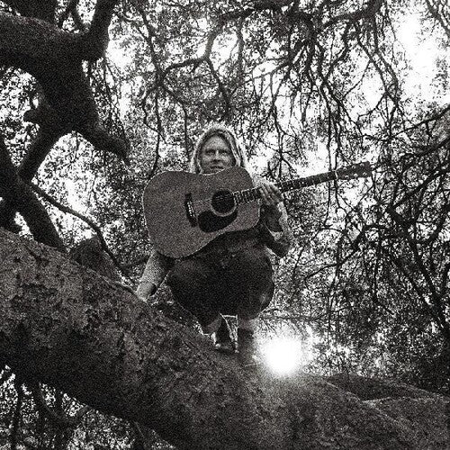 Ty Segall - Ty Segall - Hello Hi
