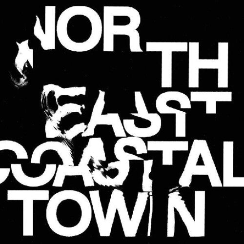 The Life - The Life - North East Coastal Town
