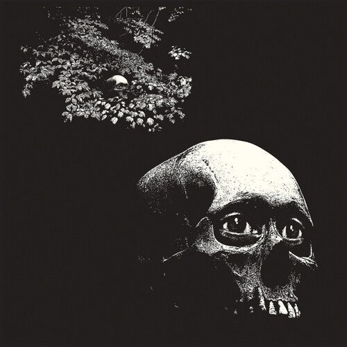 Osees - Osees - Foul Form