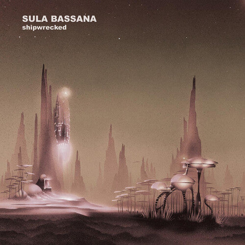 Sula Bassana - Sula Bassana - Shipwrecked