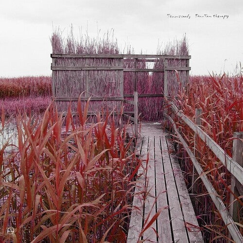 Tenniscoats - Tenniscoats - Tan-Tan Therapy