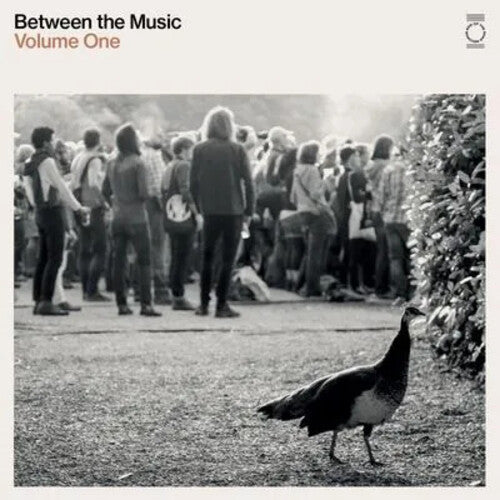 Various Artists - Various Artists - End Of The Road Presents: Between The Music / Various - White