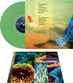 Steve Morse Band - Steve Morse Band - Split Decision - Green