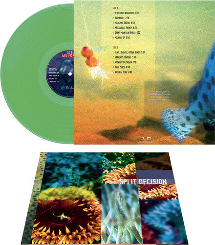 Steve Morse Band - Steve Morse Band - Split Decision - Green