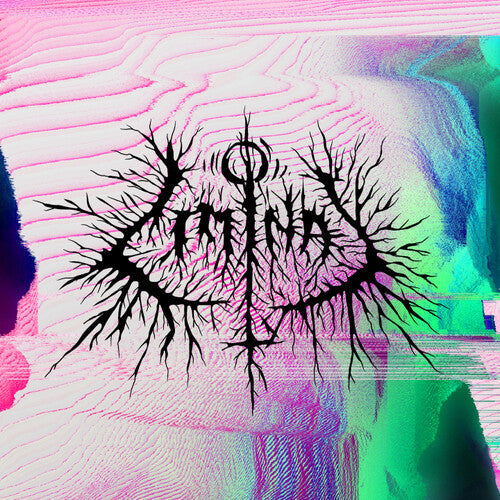 Petbrick - Petbrick - Liminal