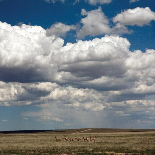 Fruit Bats - Fruit Bats - Tripper [White]