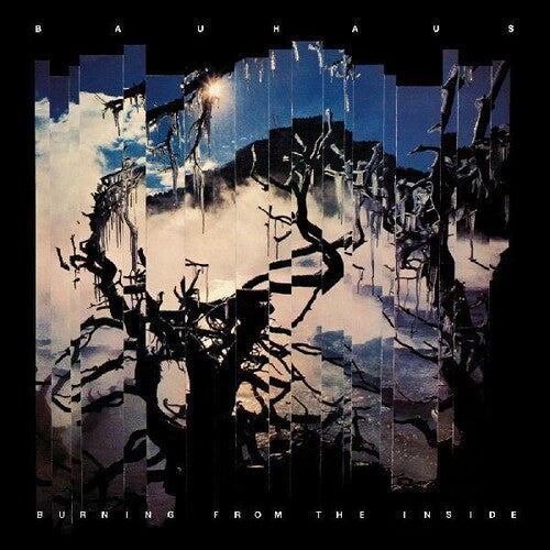 Bauhaus - Bauhaus - Burning From The Inside