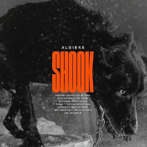 Algiers - Algiers - Shook [2LP]