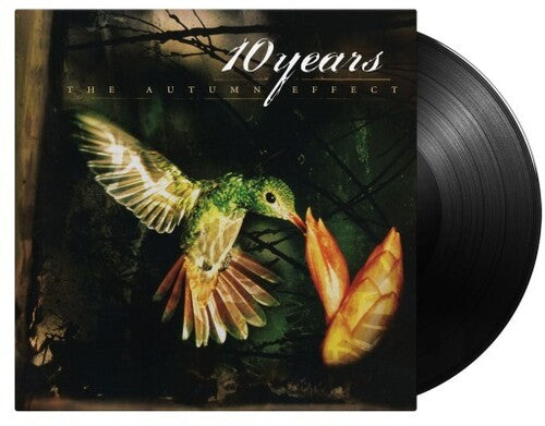 10 Years - 10 Years - Autumn Effect
