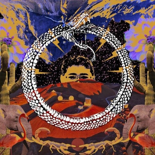 Stone House on Fire - Stone House on Fire - Neverending Cycle
