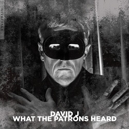 David J - David J - What The Patrons Heard