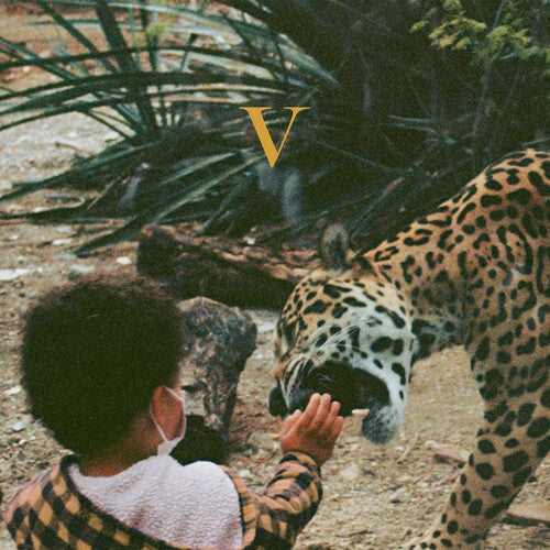 Unknown Mortal Orchestra - Unknown Mortal Orchestra - V [2LP]