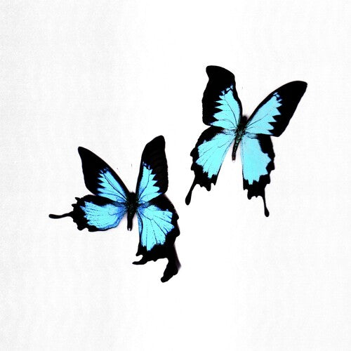 Korine - Korine - Tear