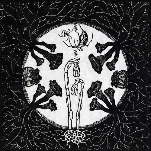 Magic Tuber Stringband - Magic Tuber Stringband - Tarantism