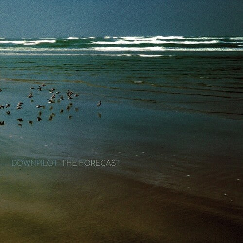 Downpilot - Downpilot - The Forecast