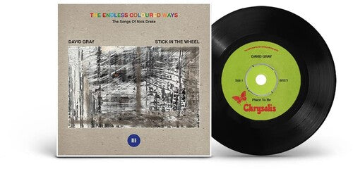 David Gray - David Gray - The Endless Coloured Ways: The Songs of Nick Drake [7-inch]