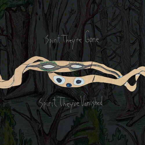 Animal Collective - Animal Collective - Spirit They're Gone Spirit They've Vanished