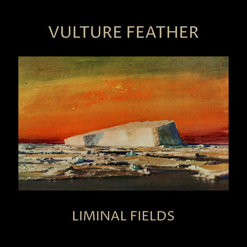 Vulture Feather - Vulture Feather - Vulture Feather - Bone