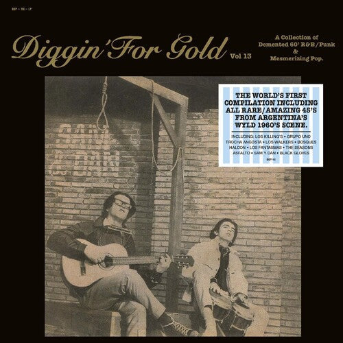 Various Artists - Various Artists - Diggin' For Gold Vol. 13 (Various Artists)