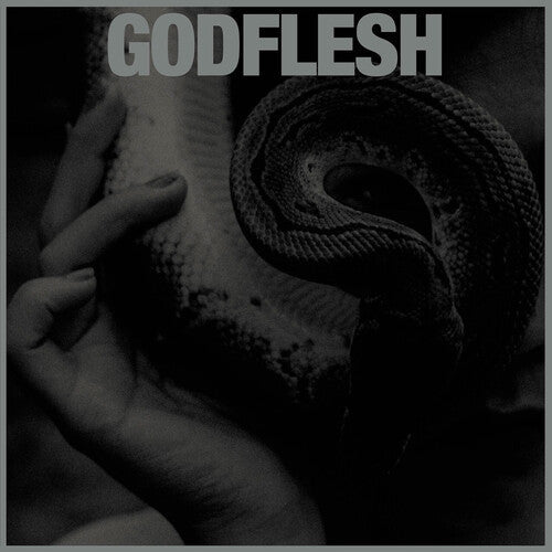 Godflesh - Godflesh - Purge
