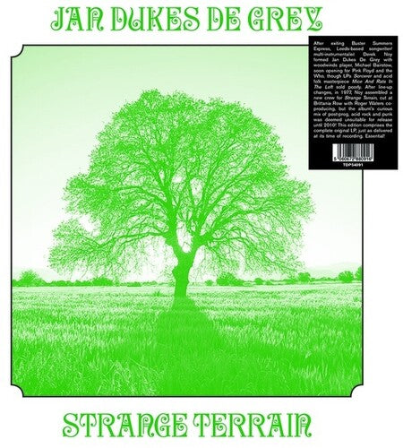Jan Dukes de Grey - Jan Dukes de Grey - Strange Terrain