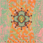 Grateful Dead - Grateful Dead - RFK Stadium, Washington, DC 6/10/73 (Live) [8LP]