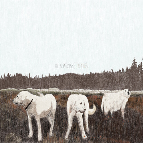 Foxing - Foxing - The Albatross: Ten Years