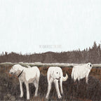 Foxing - Foxing - The Albatross: Ten Years