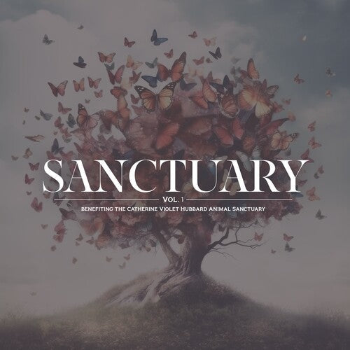 Various Artists - Various Artists - Sanctuary Vol. 1 (Various Artists)