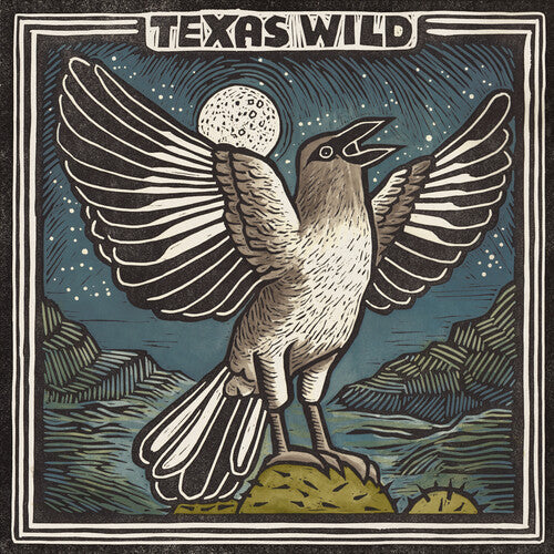 Various Artists - Various Artists - Texas Wild (Various Artists)