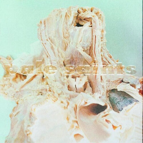 Pale Saints - Pale Saints - In Ribbons