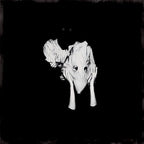 Sigur Ros - Sigur Ros - Kveikur