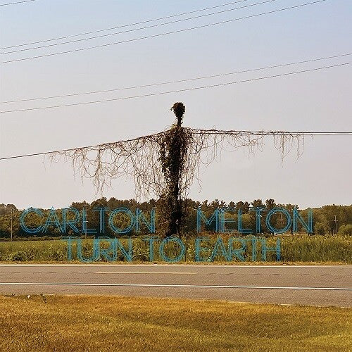 Carlton Melton - Carlton Melton - Turn To Earth