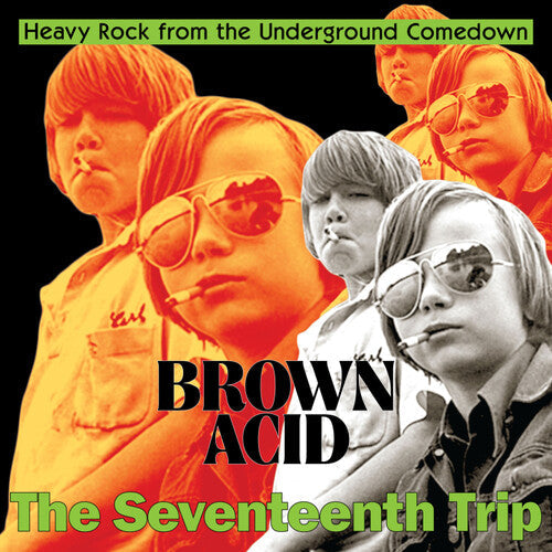 Various Artists - Various Artists - Brown Acid - The Seventeenth Trip (Various Artists)