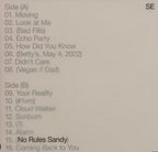 Sylvan Esso - Sylvan Esso - No Rules Sandy