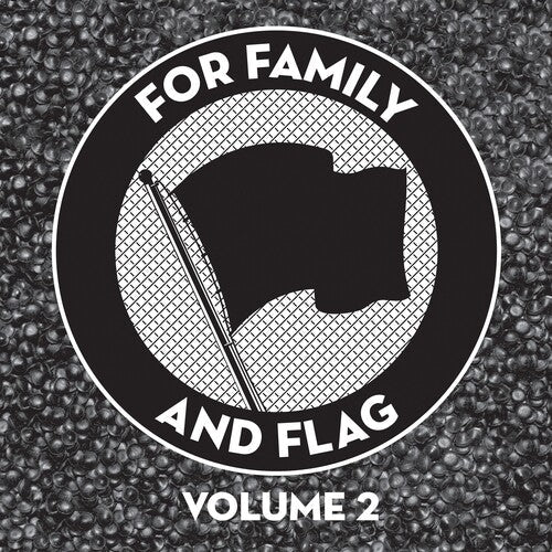 Various Artists - Various Artists - For Family And Flag 2 (Various Artists)
