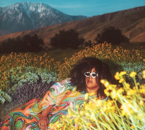 Brittany Howard - Brittany Howard - What Now