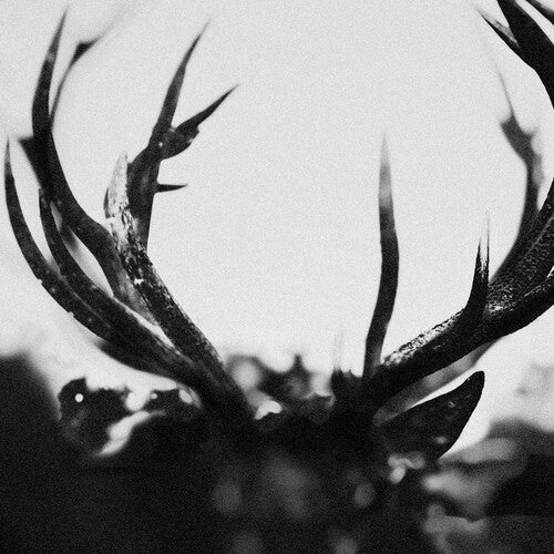 Ihsahn - Ihsahn - IHSAHN - Black Yolk