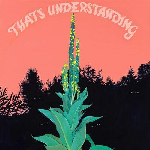 Village of Spaces - Village of Spaces - That's Understanding