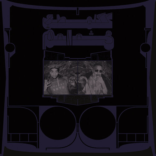 Shabazz Palaces - Shabazz Palaces - Exotic Birds of Prey