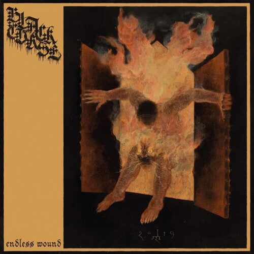 Black Curse - Black Curse - Endless Wound