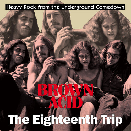 Various Artists - Various Artists - Brown Acid - The Eighteenth Trip (Various Artists)