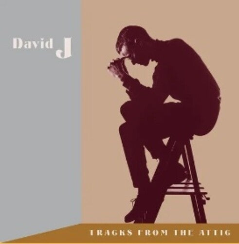 David J - David J - Tracks From The Attic [3LP Brown]