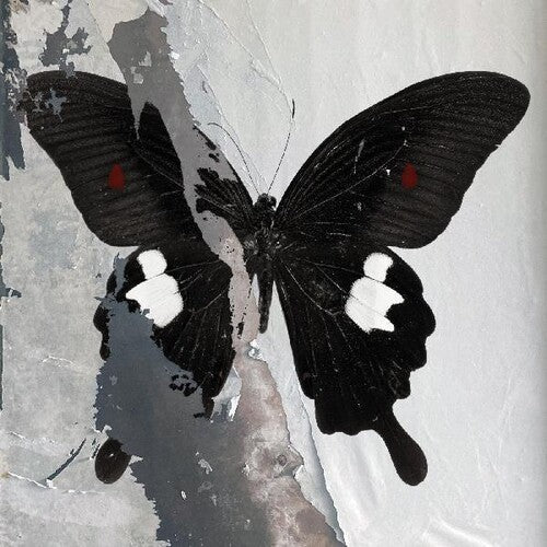 Death Cult - Death Cult - Paradise Now