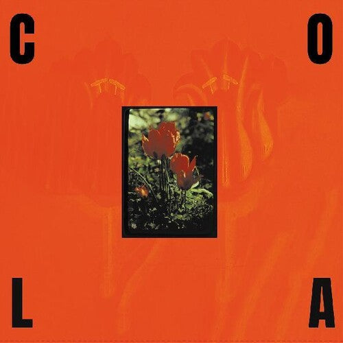 Cola - Cola - The Gloss