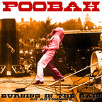 Poobah - Poobah - Burning In The Rain: An Anthology [2LP]